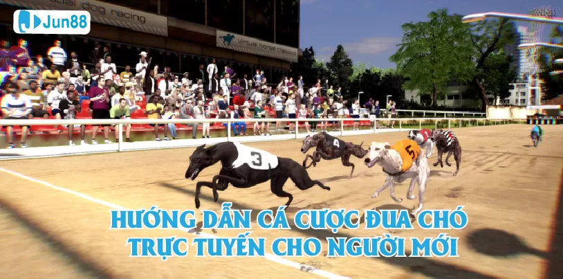 Jun88 - Cá Cược Đua Chó: Một Trải Nghiệm Thú Vị Môn cá độ đua chó trực tuyến là gì?